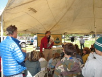 Thumbnail DSC00390.JPG 