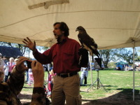 Thumbnail DSC00407.JPG 