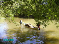 Thumbnail PICT1110.JPG 