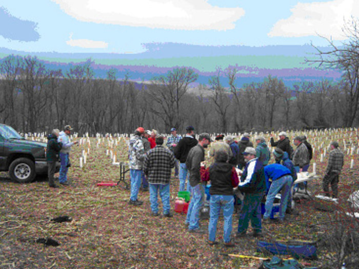Demo orchard.jpg 