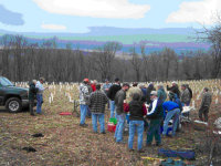 Thumbnail Demo orchard.jpg 